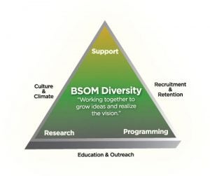 BSOM Diversity "Working together to grow ideas and realize the vision." A triange with "Support" at the top, "Culture and Climate" on the left side, "Research" in the bottom left corner, "Education and Outreach" on the bottom side, "Programming" in the bottom right corner, and "Recruitment and Retention" on the right site.