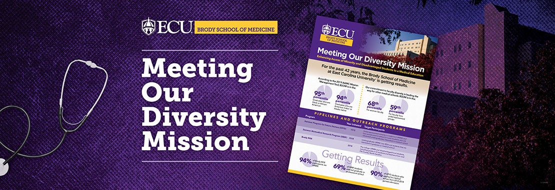 Meeting Our Diversity Mission (PDF)