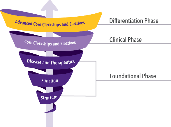 Foundational Phase - Structure, Function, Disease and Therapeutics; Clinical Phase - Core Clerkships and Electives; Differention Phase - Advanced Core Clerkships and Electives