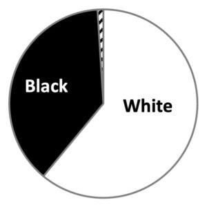 Enrolled Participants - sixty-one percent white, thirty-eight percent black, one percent Hispanic